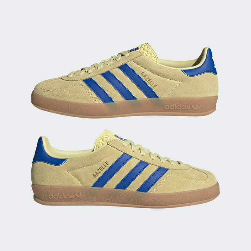 Adidas Gazelle Indoor Amarelo Pó, azul royal e branco nuvem